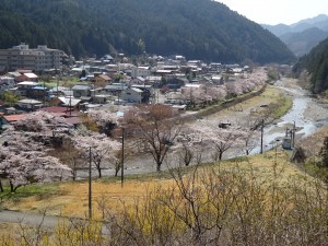 DSC01033