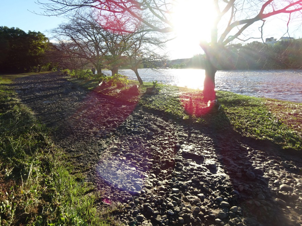 DSC02330