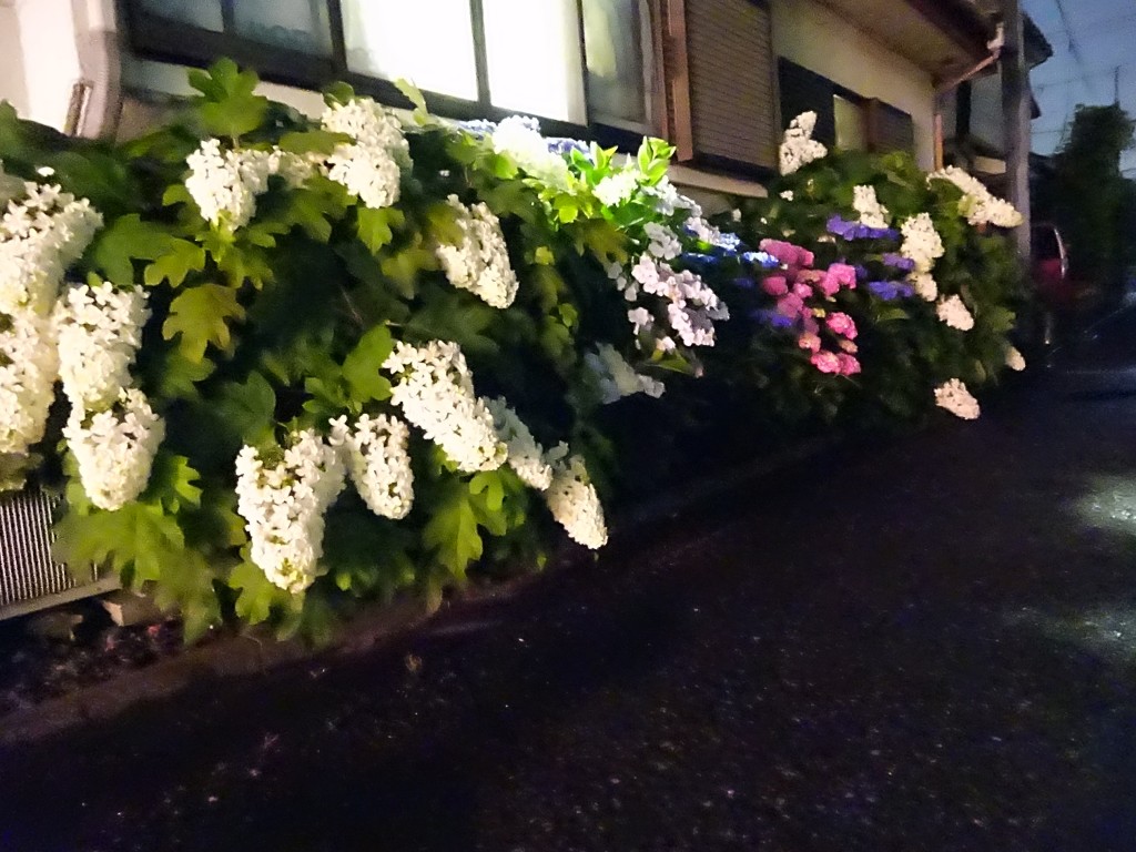 DSC03055