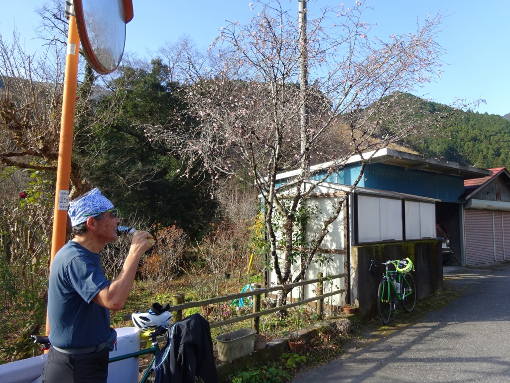 DSC03562