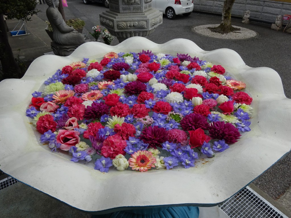 DSC03604