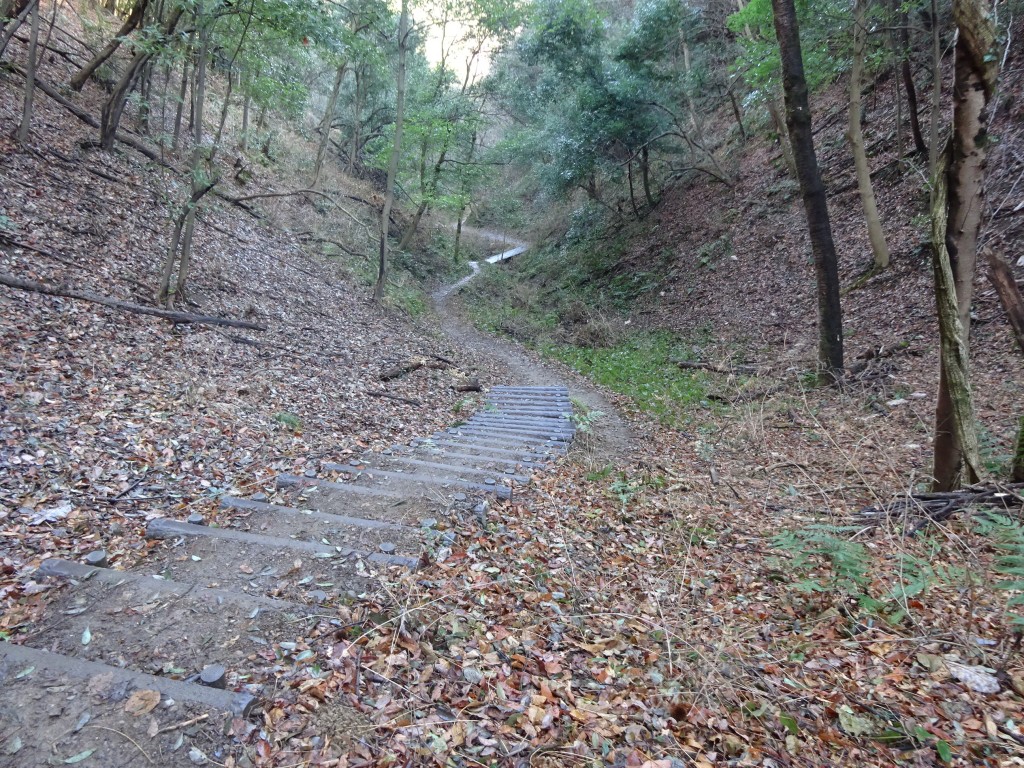 DSC03609