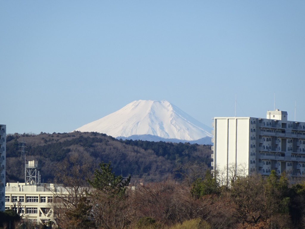 DSC03686