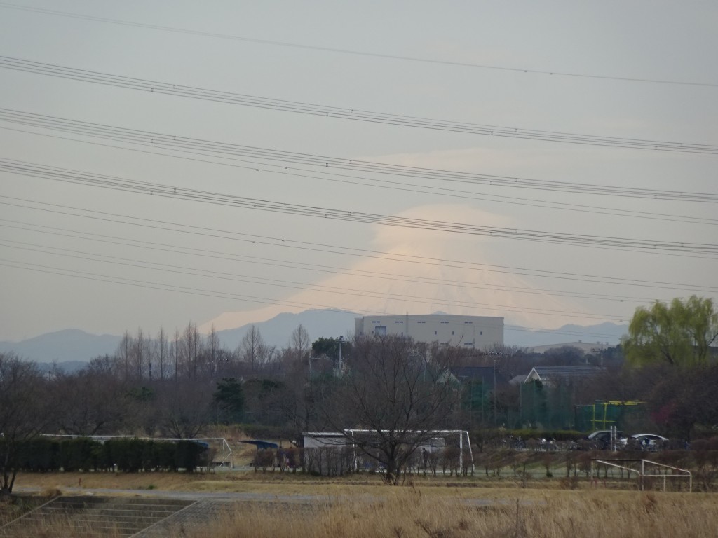 DSC03772
