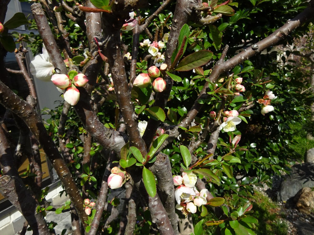 DSC03780