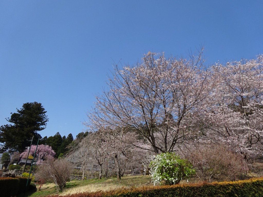 DSC03840