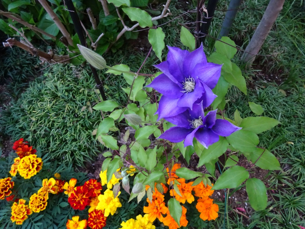 DSC03911
