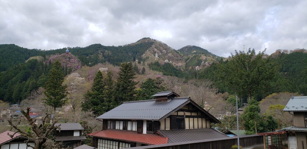 １20210406_085805鳥居
