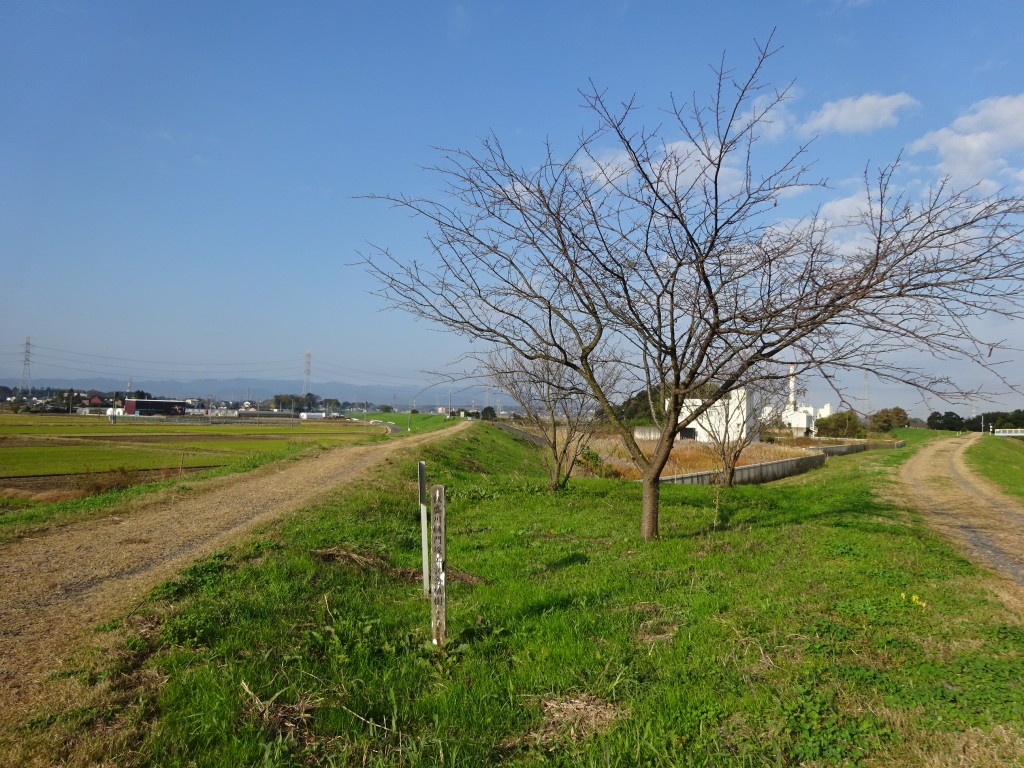 DSC04138