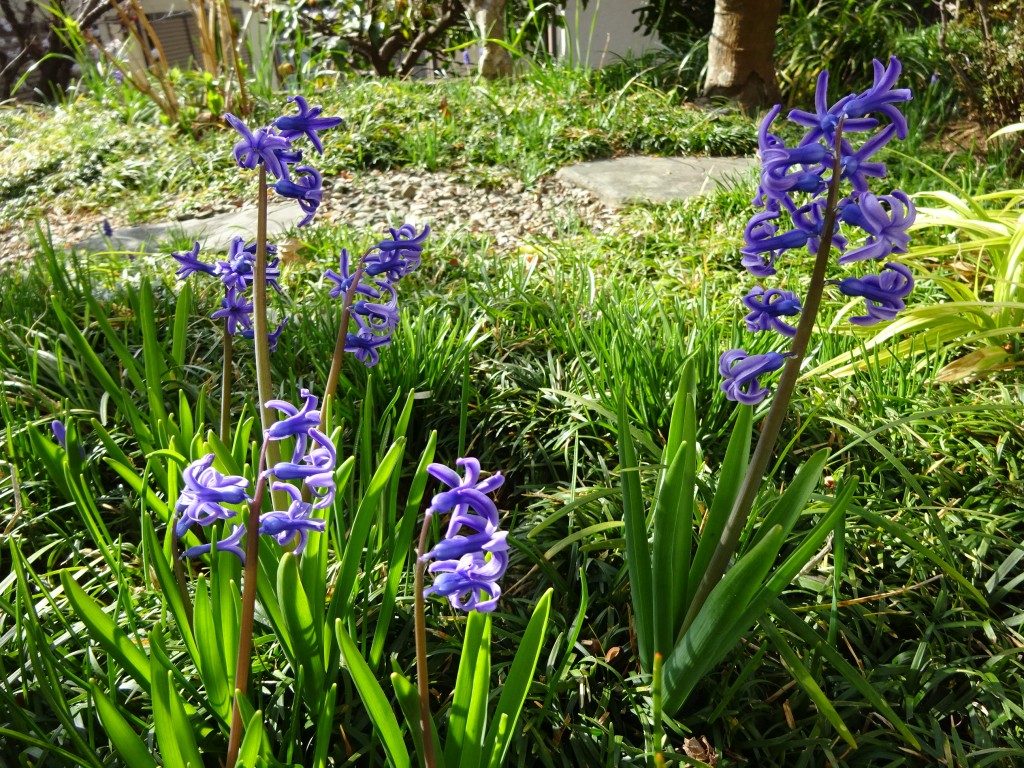 DSC04401