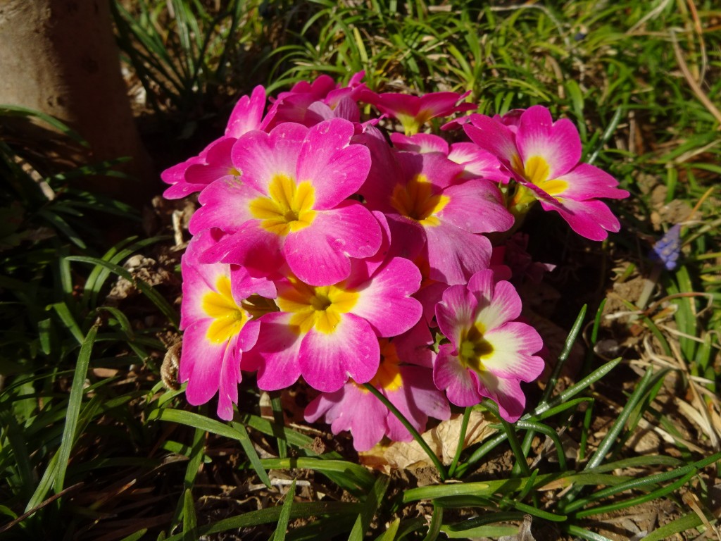 DSC04403